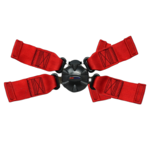 4-point crew restraint